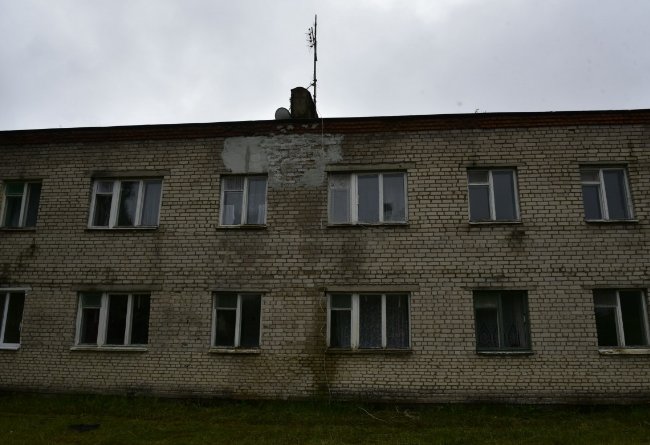 елка починок